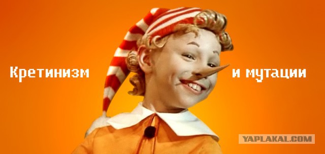 Кристина, губы, инвестиции