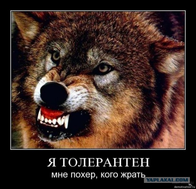 ЧЕ-2016 - финальный раунд. Часть VIII