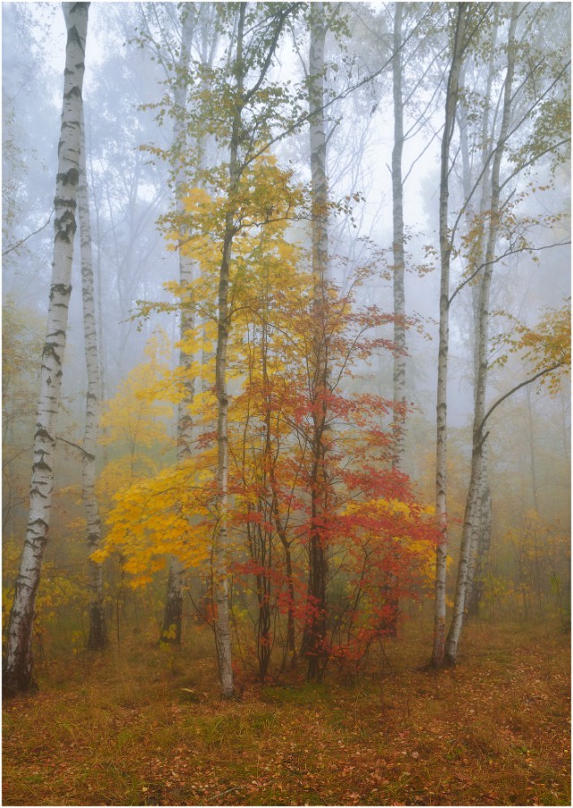 Винегрет фоток на пятницу...