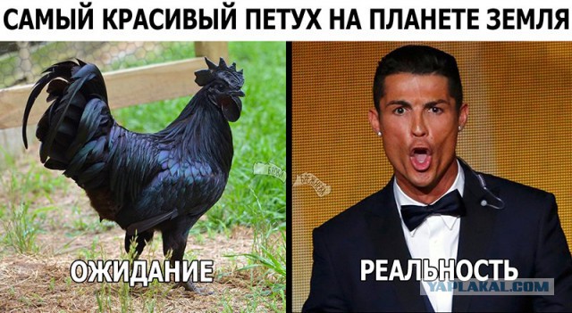 Роналду назвал себя гомосексуалистом с большими деньгами