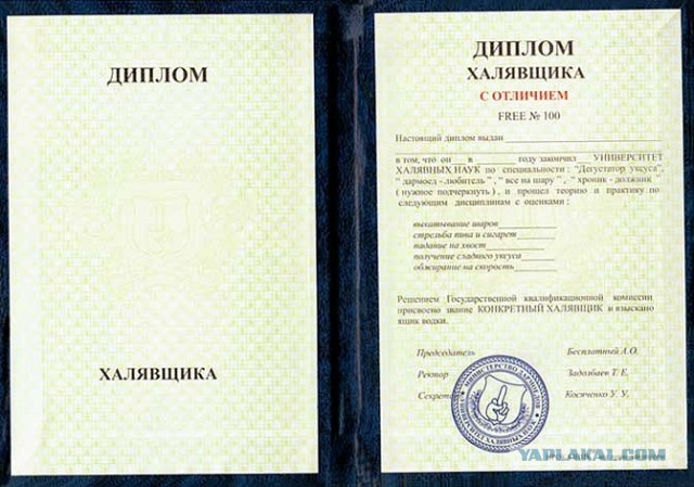 МЕДАЛЬ. За что Суворов наградил солдата, весь бой просидевшего в кустах