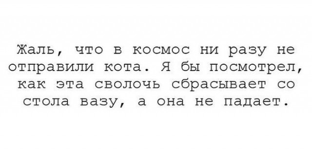 Подборка интересных и веселых картинок