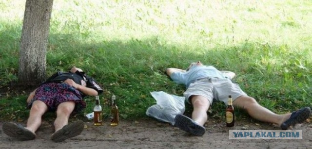 Подборка летних приколов