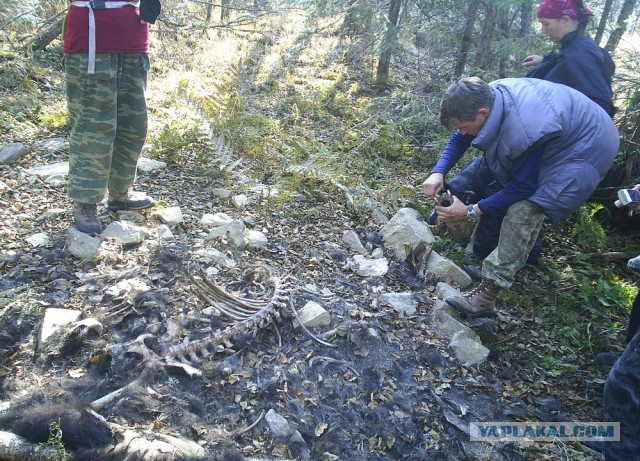 Освоение Дальневосточного гектара.