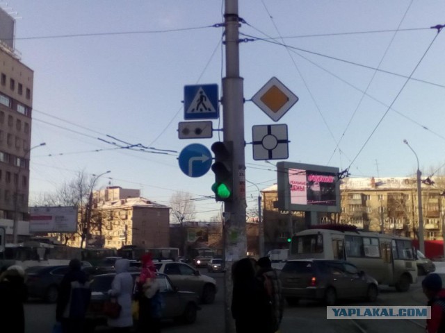 В Новосибирске распрямляются кольца!