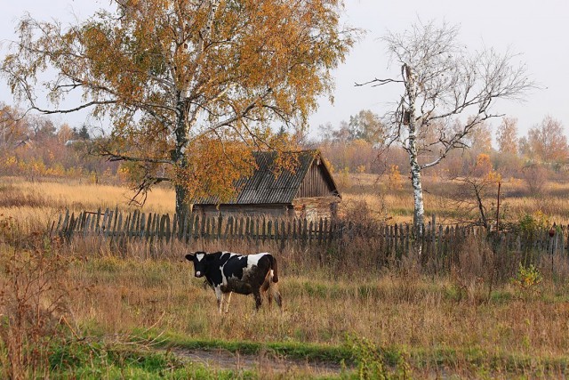 Осень в деревне