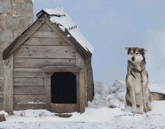 Грусть и терпение