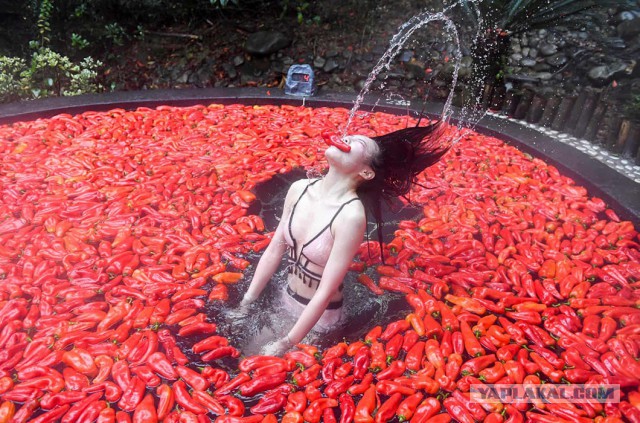 Фотографии, которые не каждый день увидишь