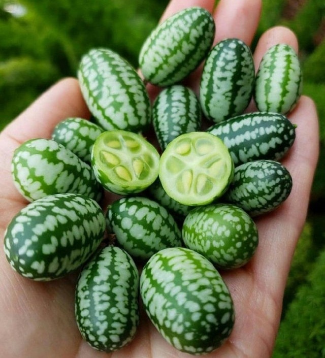 Фото, которые больше похожи на фикцию, но они настоящие