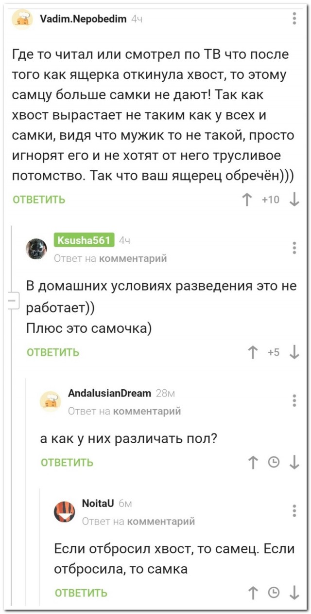 Забавные комментарии из социальных сетей (15.02.21)