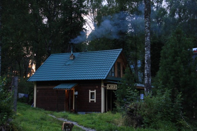 Дома на опушке леса