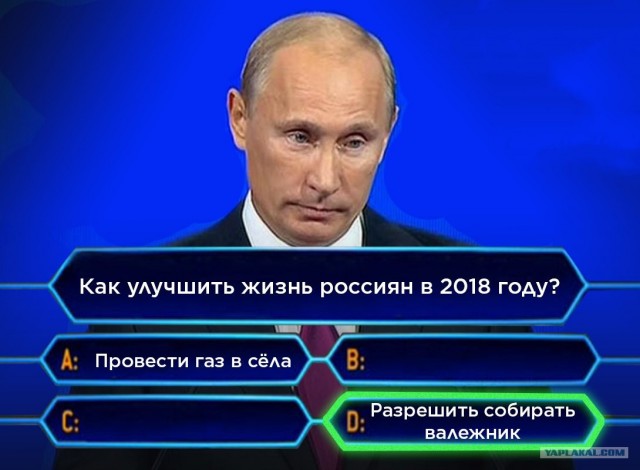 МЧС с 1 мая начинает массовые рейды по дачным поселкам и паркам - будут штрафовать за шашлыки