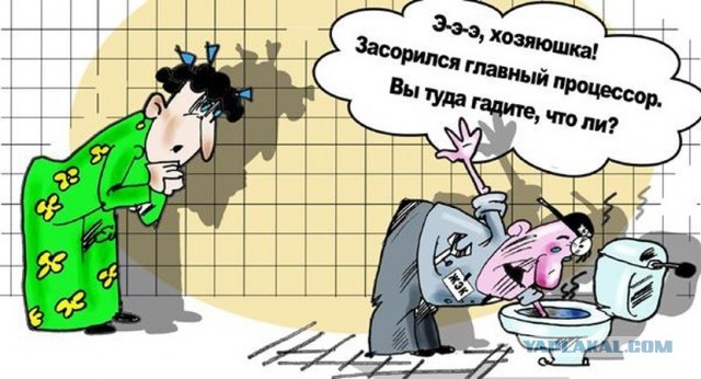 «Выносят микроволновки с мышиным дерьмом»: откровения ремонтника, который выезжает в элитные коттеджи