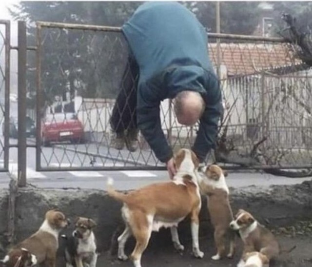 Делайте выводы