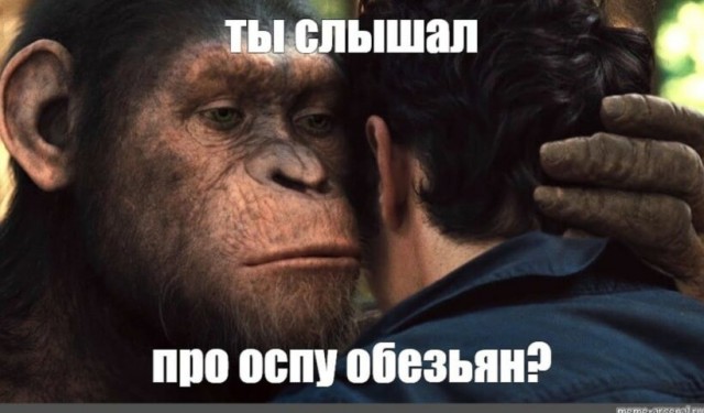Про оспу обезьян