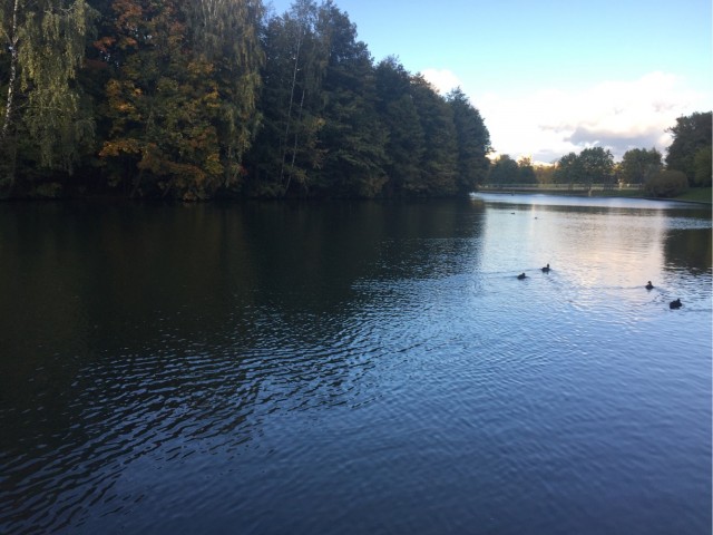 Тайна воды