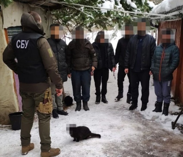 Даже котик под подозрением