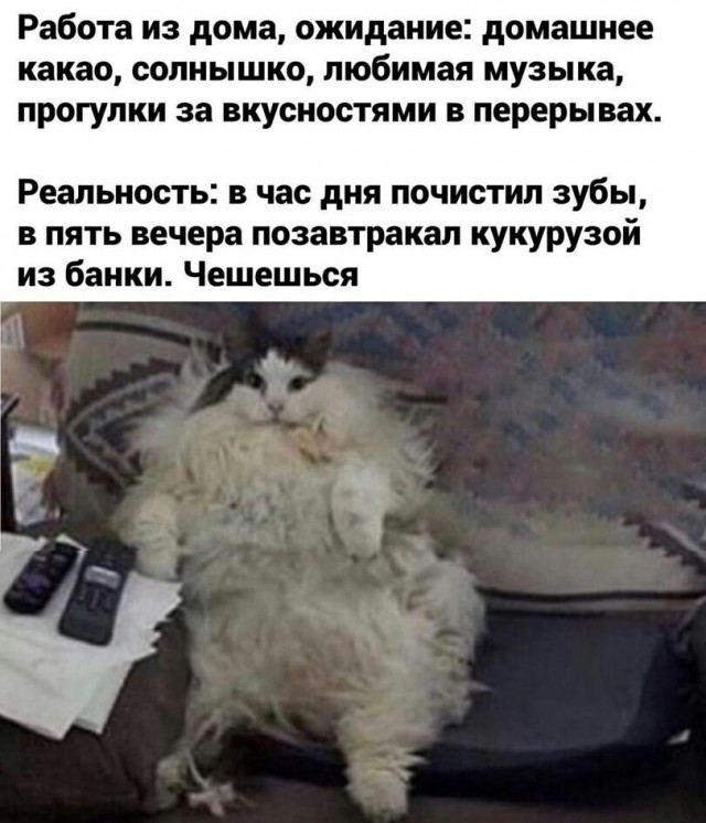 Всю работу не переработаешь