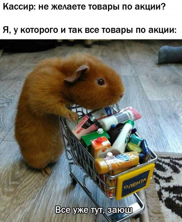 Победная поступь идиотизма по планете – том 10