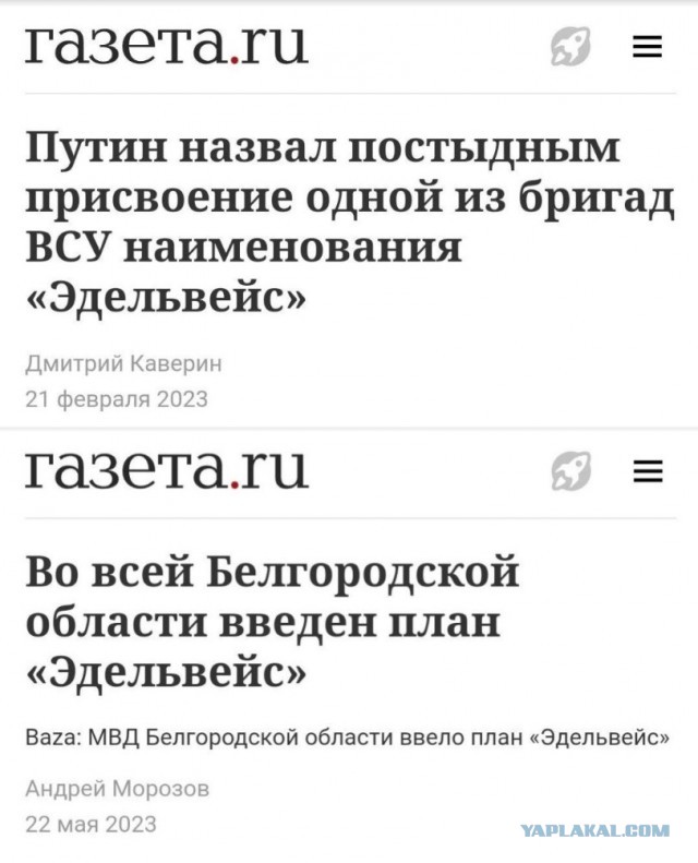 Зеленский присвоил горно-штурмовой бригаде ВСУ наименование "Эдельвейс"