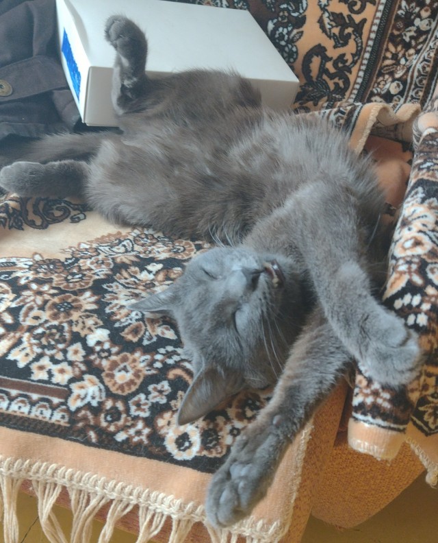 Вот вам