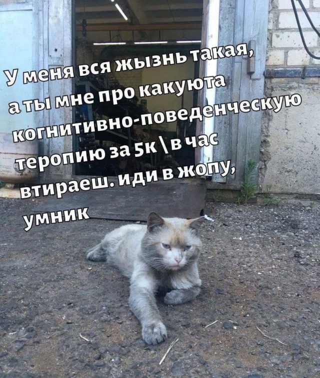 Всего понемногу.
