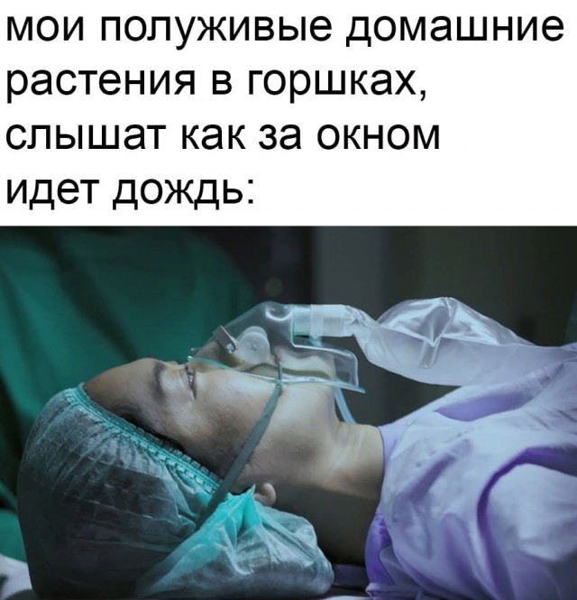 Весёлый полтишок 07.08.23