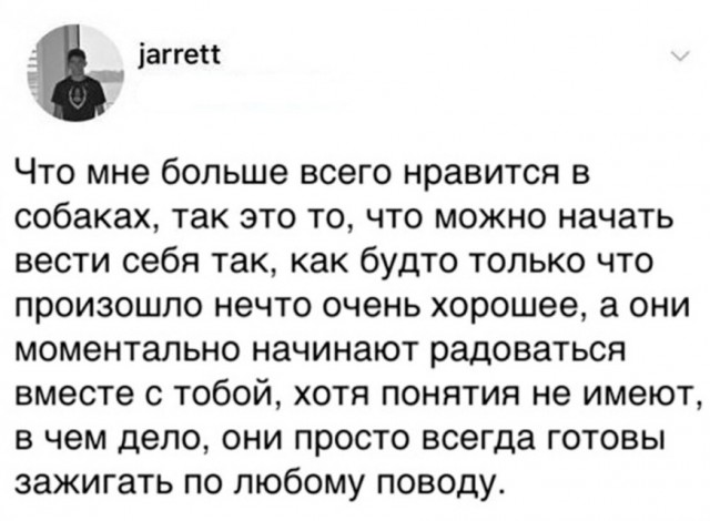 Дело было вечером, выпить было нечего 2