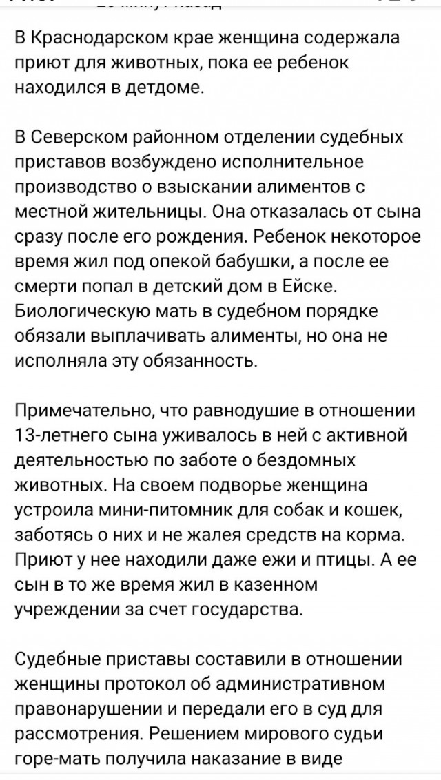 ⚡️От шока потеряла сознание: житель Сочи рассказал, как спасал женщину от разъярённой собаки