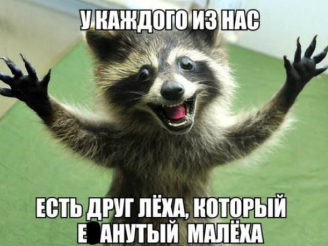 Какая свадьба без Лёхи