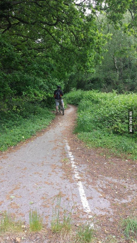 Природа берёт своё.