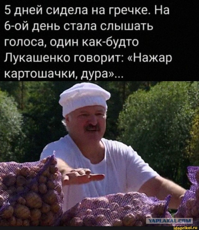 Кормит мужа хернёй всякой
