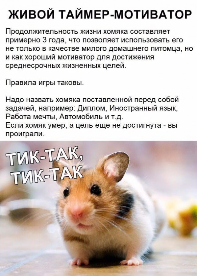 Веселые картинки в маленькую пятницу (21.05)