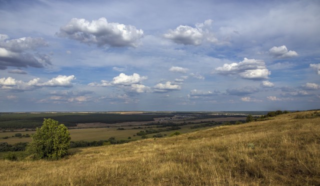 Донская степь