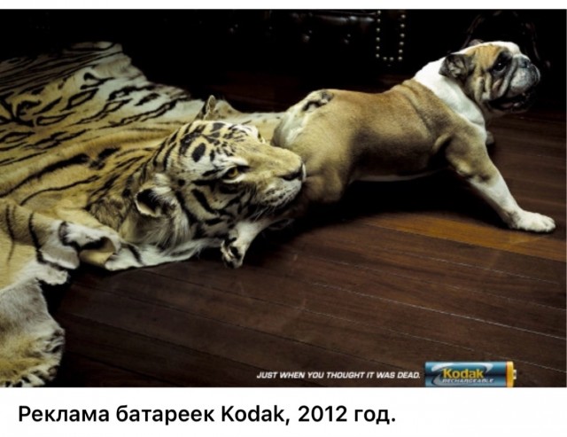Редкие кадры и архивные снимки 13.08.25