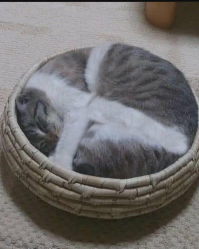 Эх пятницо картинки же