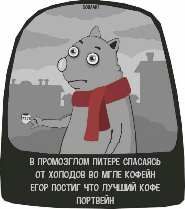 Прикольные и просто красивые картинки 02.12.2025