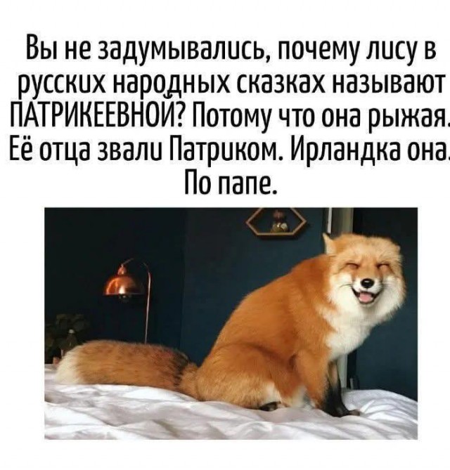 Среды картинки
