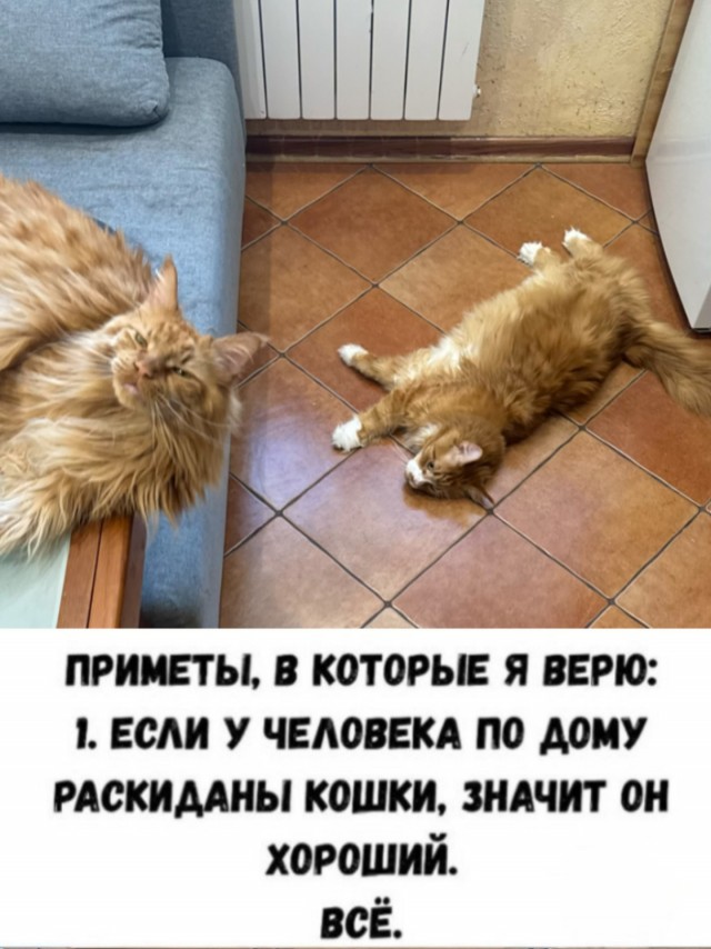 Картиночки, баянчики 02 февраля