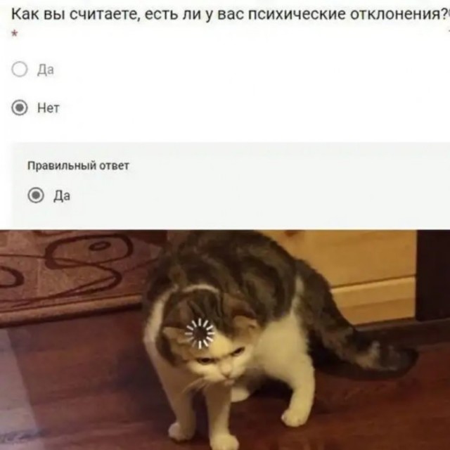 Веселые картинки в маленькую пятницу (25.02)