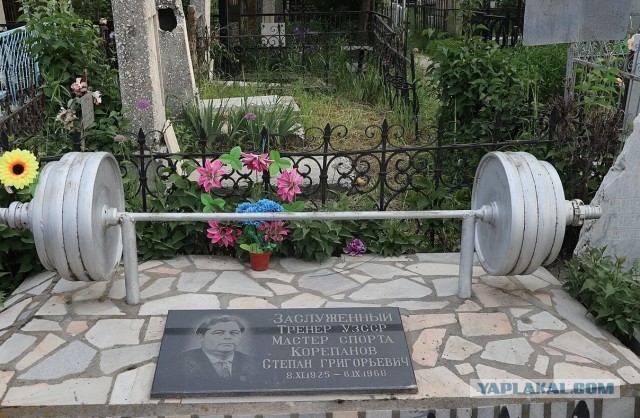 Притуплённый с черновцой