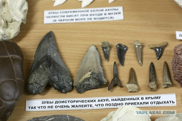 Музей шедевров природы