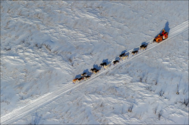 Идитарод 2010 - ледяная гонка