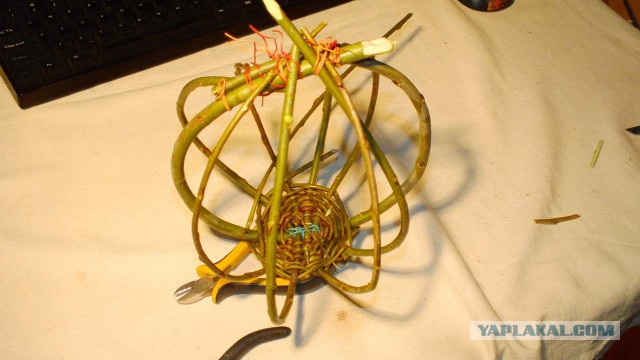 Почему люди не птицы? Отчего люди не летают?