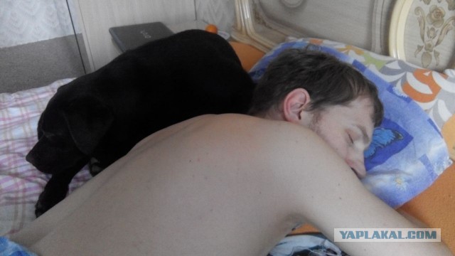 Мой собак: