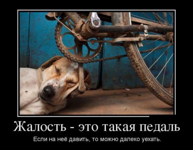 Андрей Губин: "Существую на $250 в месяц"