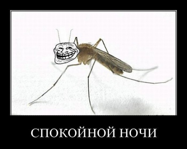 Позитивная подборка демотиваторов
