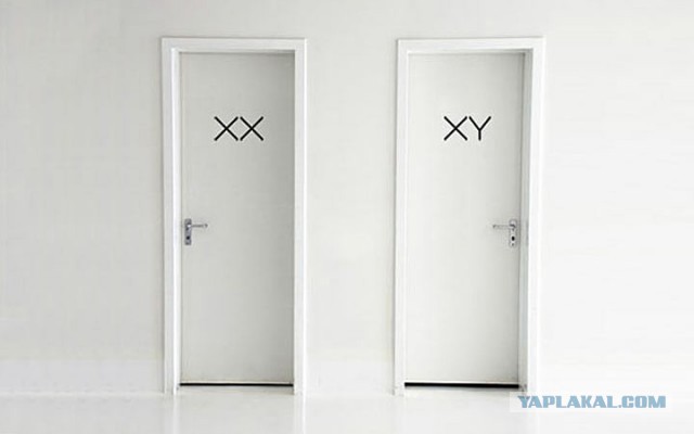 Как обозначают мужские и женские туалеты.