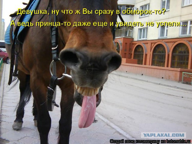 Принца ищем в 30 лет, а его всё нет и нет