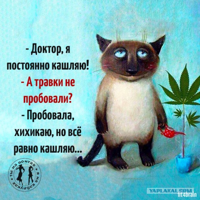 Омича оштрафовали за носки с изображением конопли